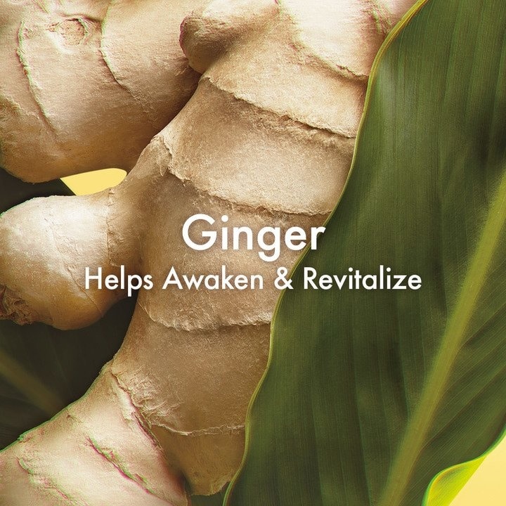 Ginger Essence™ Sensuous Skin Scent, 100 ml