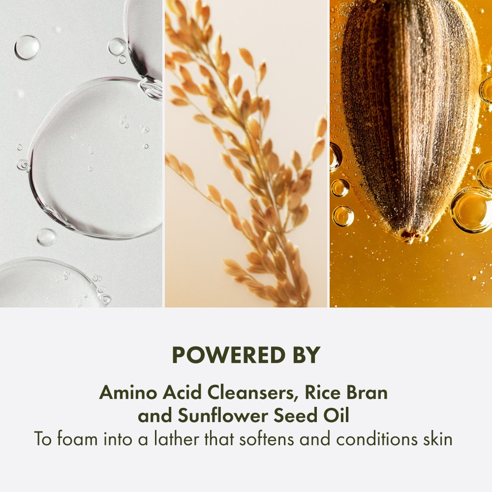 Checks and Balances™ Gentle Foaming Face Wash Home & Away Duo, Full Size + Deluxe Sample